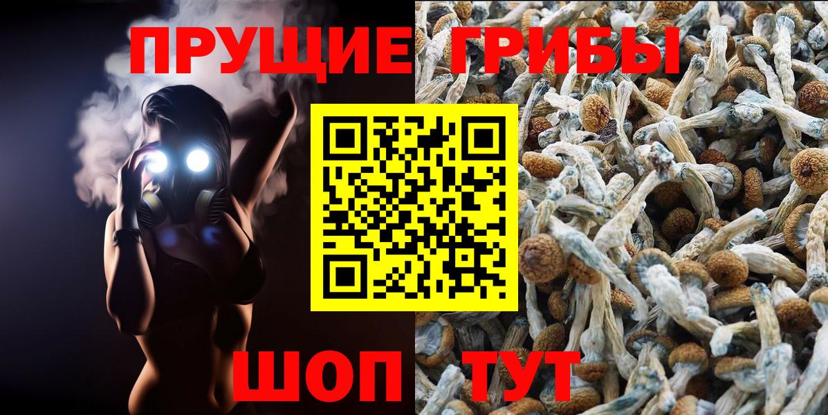 Галлюциногенные грибы прущие грибы Майкоп