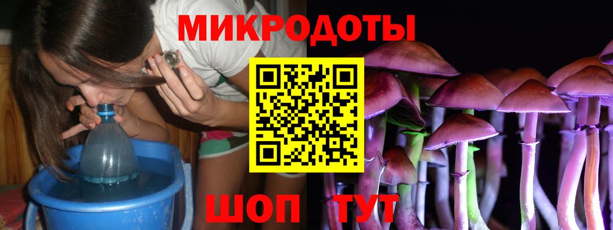 Галлюциногенные грибы Psilocybe  Вход с VPN  Майкоп 